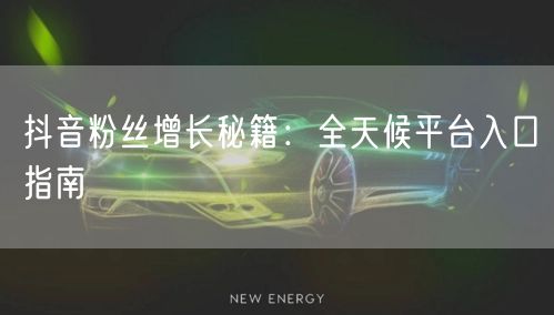 抖音粉丝增长秘籍：全天候平台入口指南